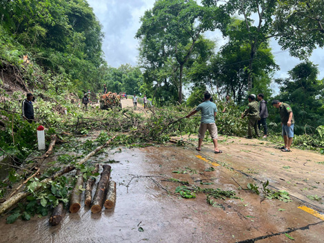 폭우 후 알바 마을 주민 경찰 알바 마을 민병대가 쓰러진 나무 도로를 가로막은 흙과 돌을 치우기 위해 나왔습니다. 사진: 경찰
