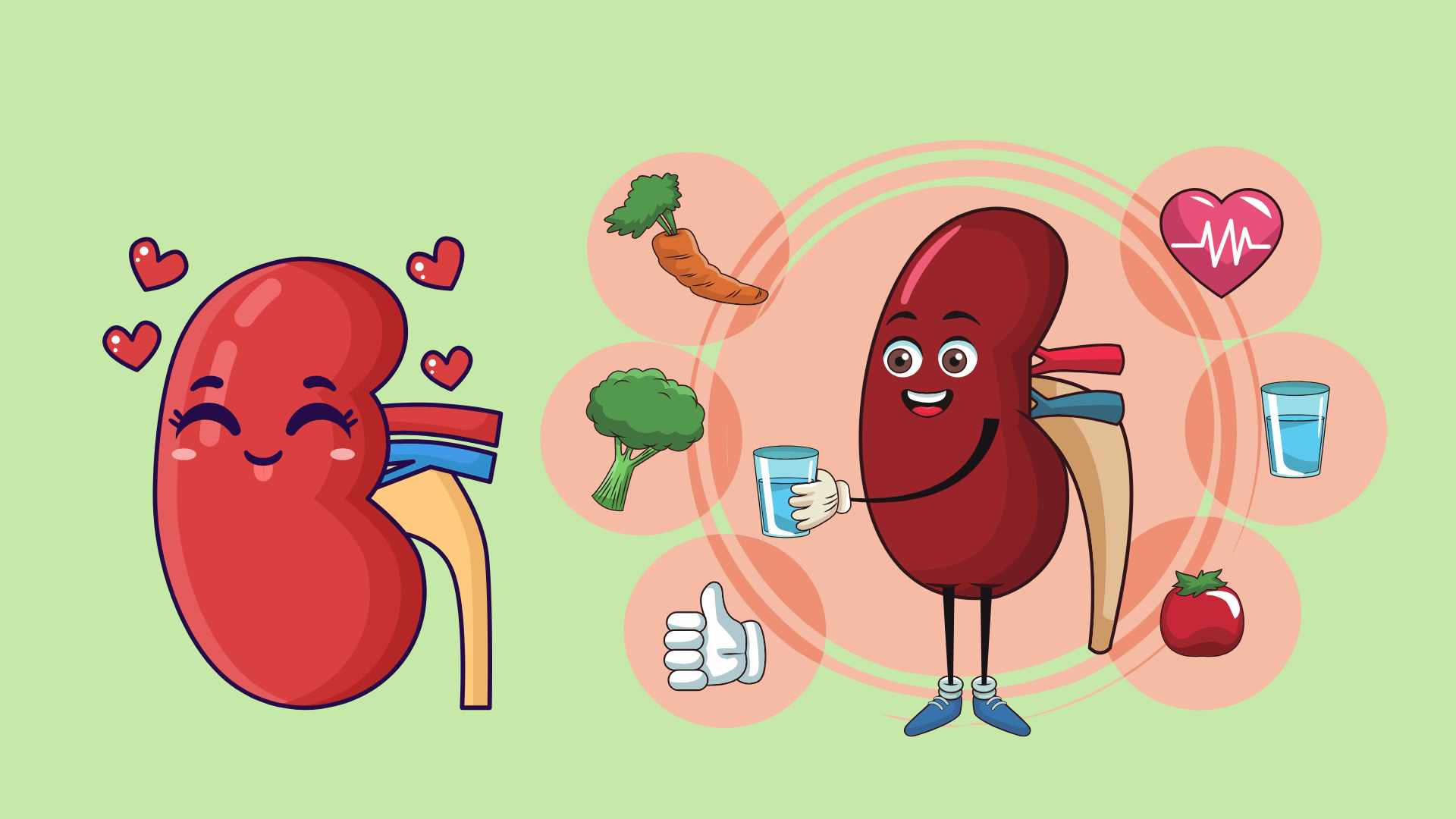 Detoxify your kidneys with simple habits. Graphic photo: Huong Giang