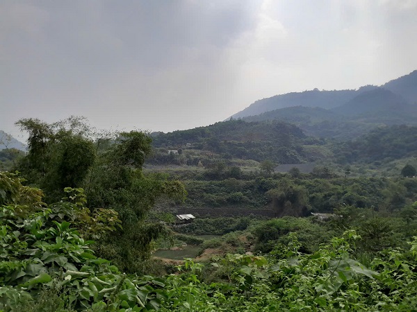 Le ministere de l'Agriculture et de l'Environnement repond aux habitants sur la delivrance de titres fonciers fonciers agricoles qui changent volontairement d'objectif. Photo : Xuyen Dong