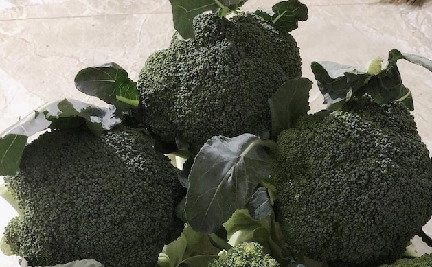 Broccoli is one of the foods that is said to support liver detoxification. Photo: Kieu Vu