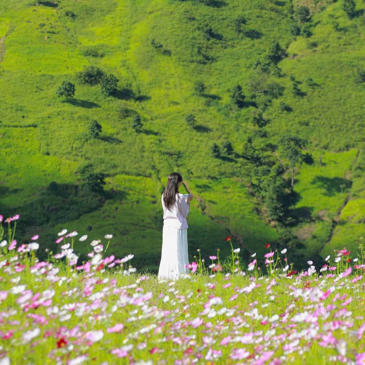 Doi hoa canh buom voi phong nen la nui non hung vi la dau an hut khach. Anh: Tran Huyen Trang
