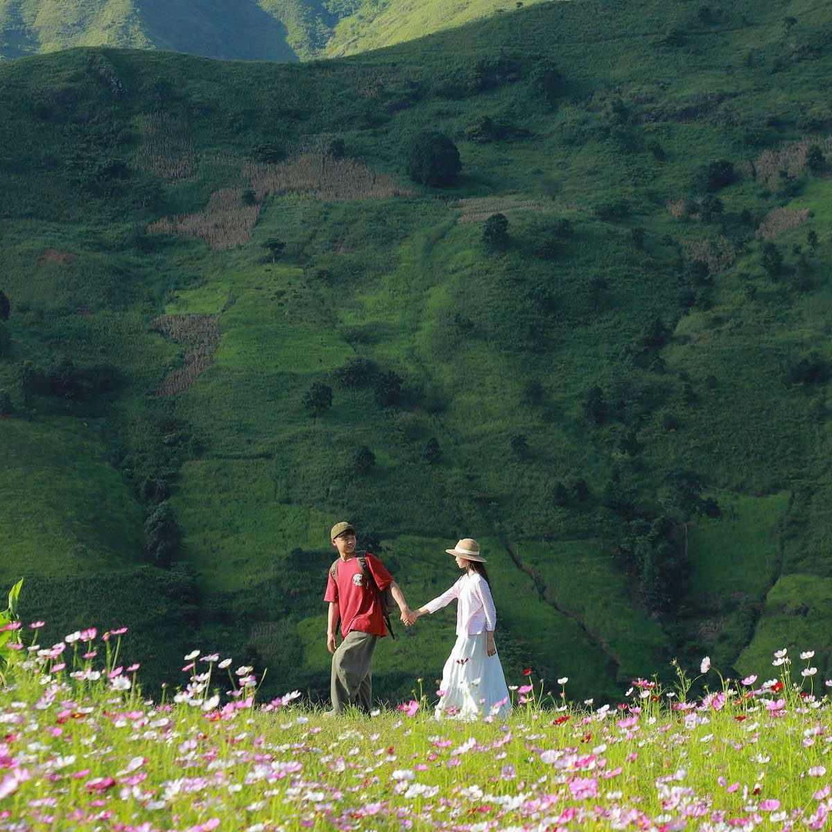 Chi Tran Huyen Trang ngo ngang voi doi hoa canh buom dep nhu mo tai Ta Xua. Anh: Tran Huyen Trang