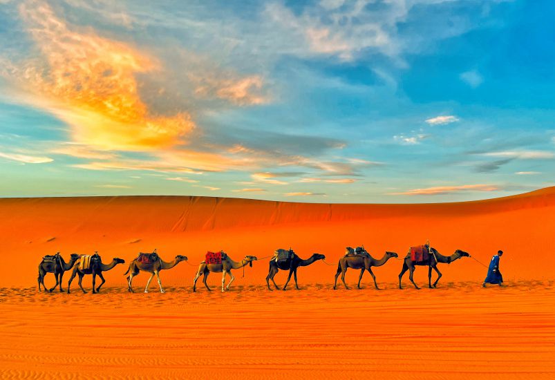 Sahara in the dawn by Viet Van.