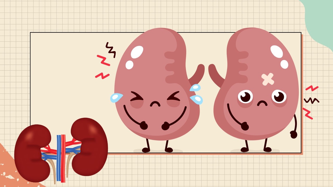 加工食品は塩分が多く含まれており、腎臓に負担をかけます。写真:Huong Son