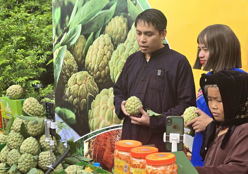 Na Lang Son apporte un chiffre d'affaires de 1 500 milliards de VND aux agriculteurs. Photo: Khanh Linh