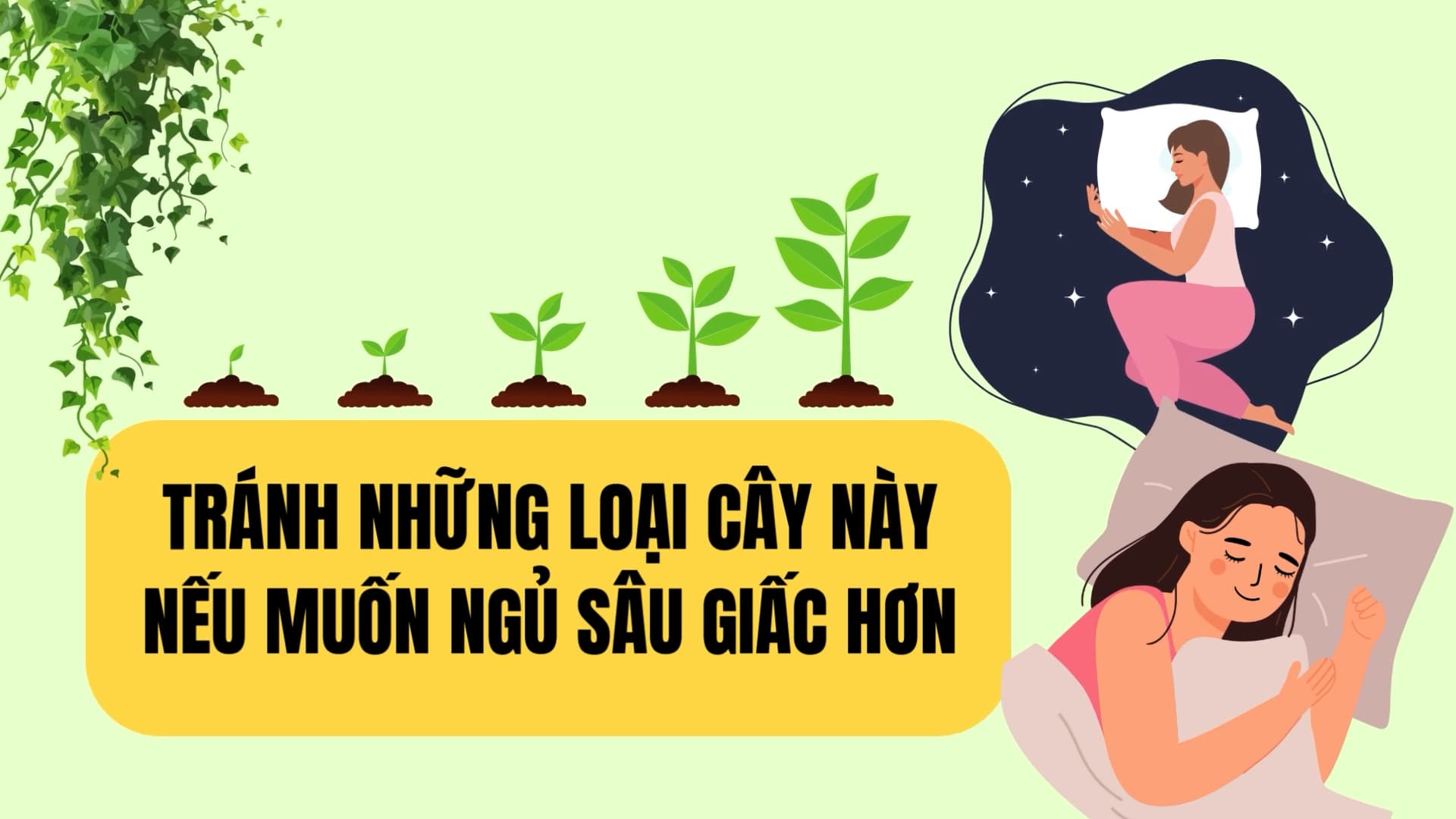 quiet plants that hinder sleep