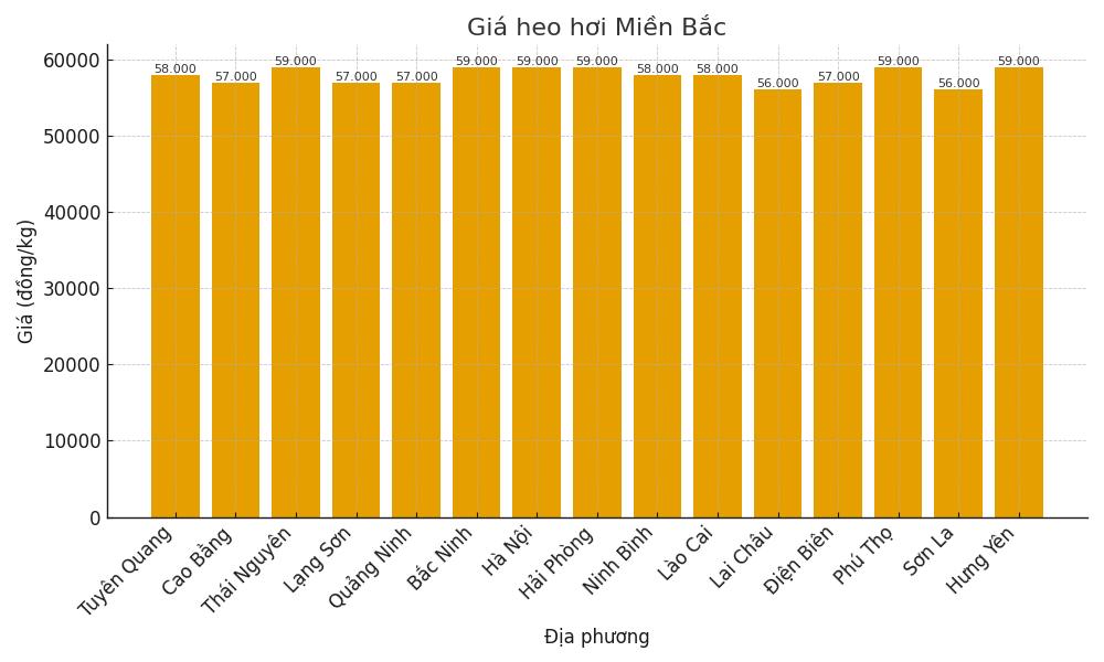 Gia heo hoi ngay 4.8 tai khu vuc mien Bac. Do hoa: Thuy Linh