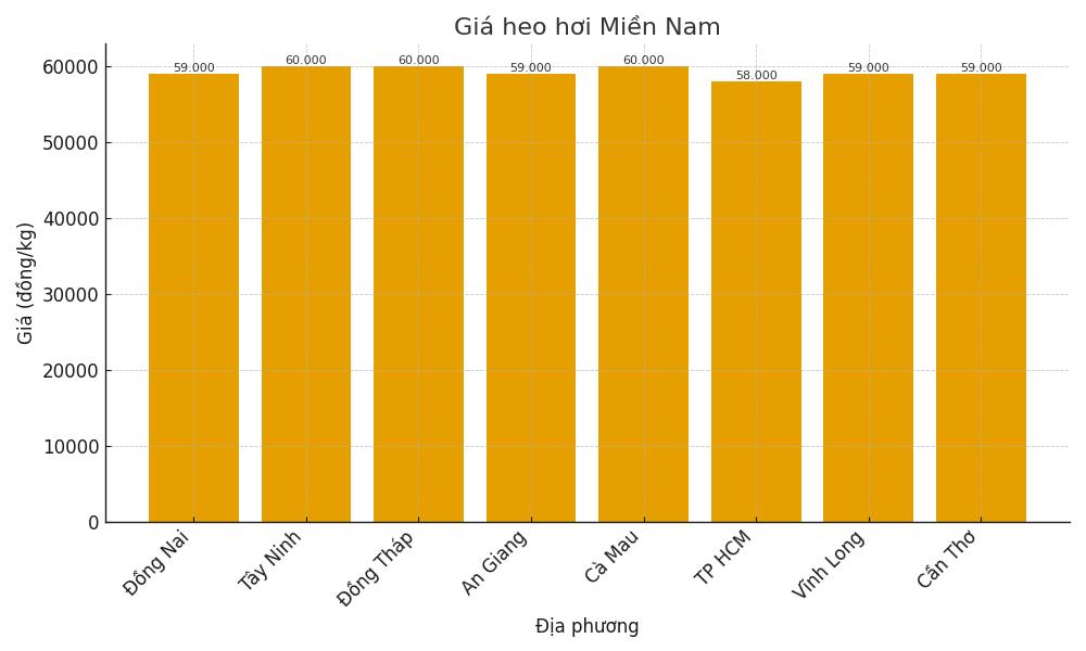 Gia heo hoi ngay 9.9 tai khu vuc mien Bac. Do hoa: Thuy Linh 