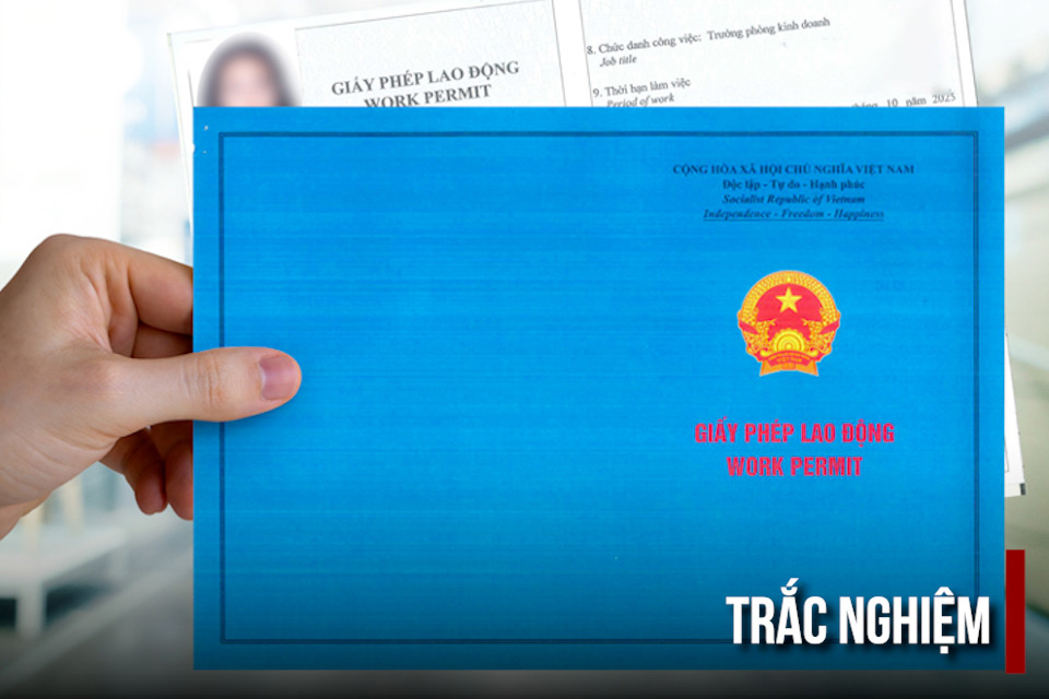 Trường hợp nào người lao động nước ngoài được cấp lại giấy phép lao động tại Việt Nam?