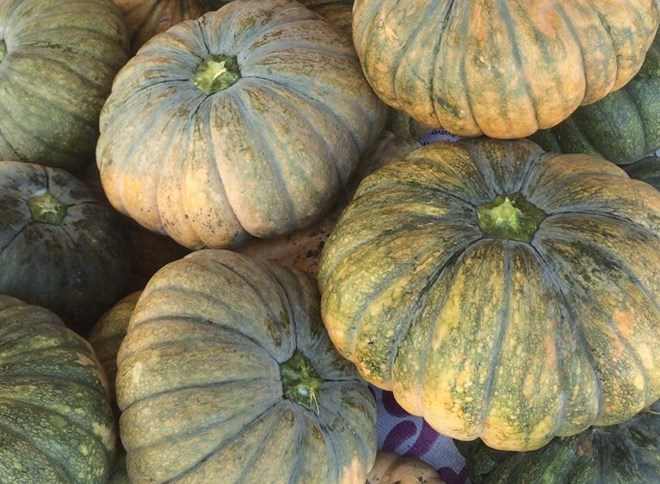 Dilute pumpkin broth is rich in potassium, and is a good antioxidant for the kidneys. Photo: Pham My.