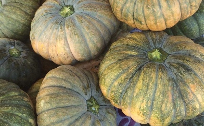 Dilute pumpkin broth is rich in potassium, and is a good antioxidant for the kidneys. Photo: Pham My.