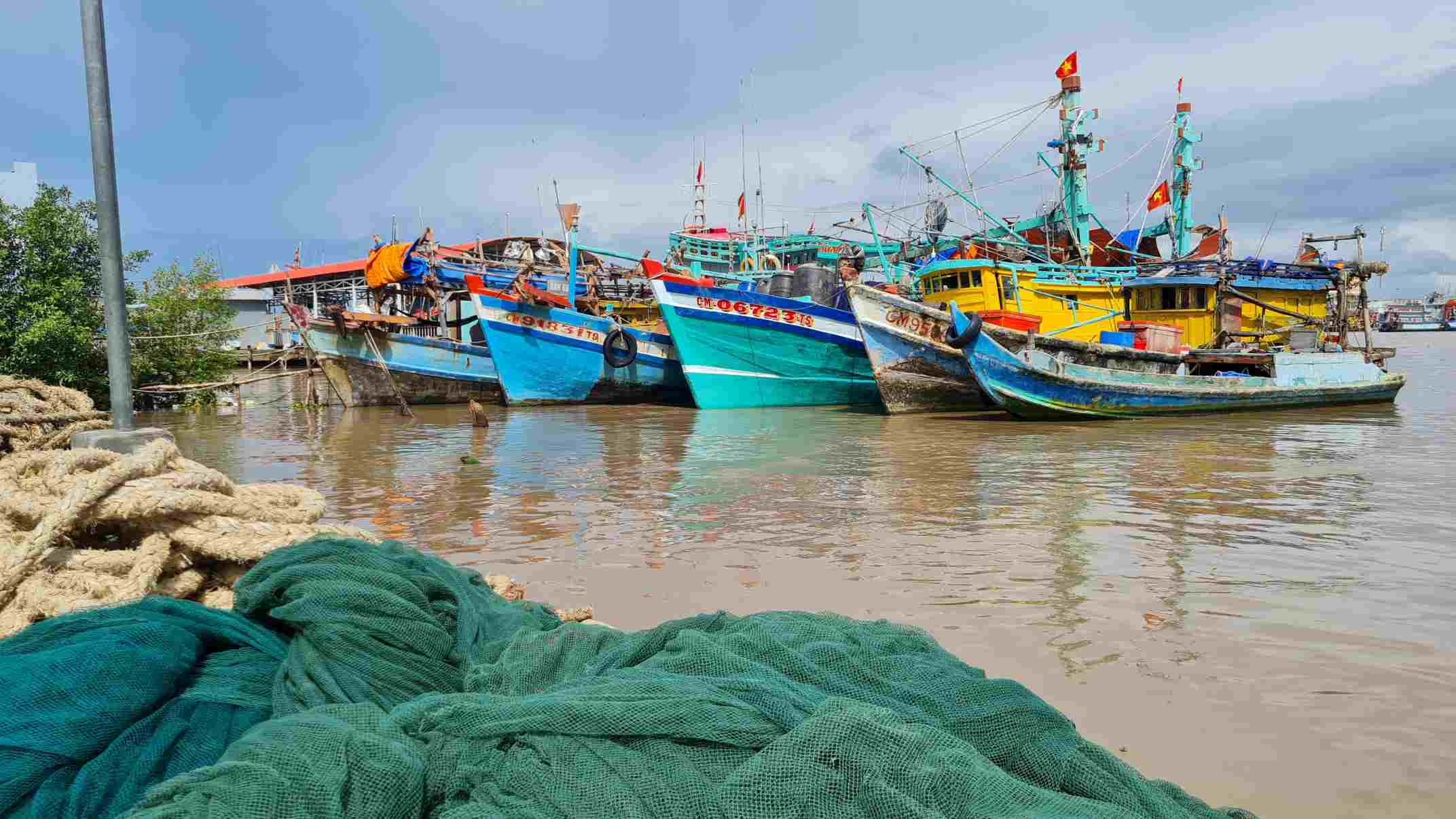Ca Mau is determined to fight IUU fishing to remove the yellow card and restore order for the fishing industry. Photo: Nhat Ho