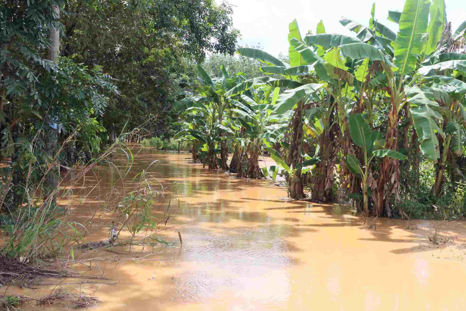 The flood caused some areas in Binh Phuoc ward to be deeply flooded. Photo: Dinh Trong