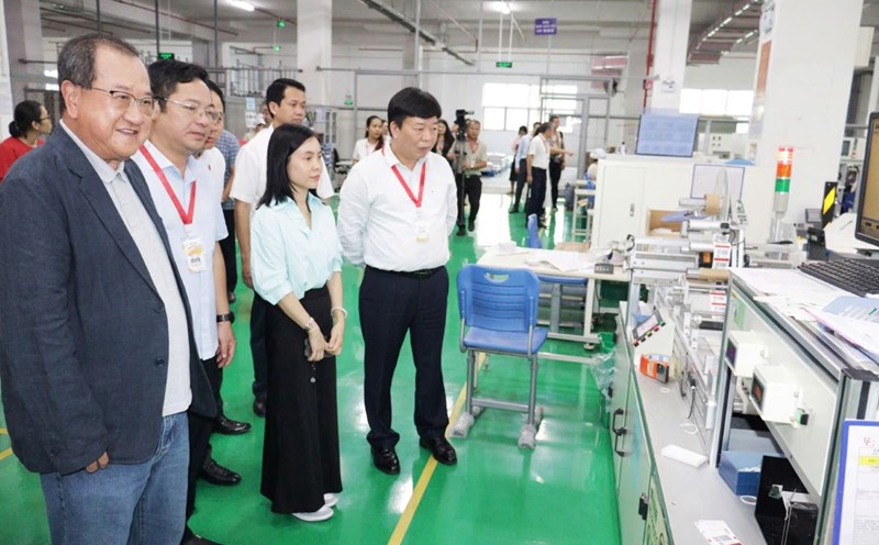 The monitoring team conducted a field survey at Maple Company Limited. Photo: Hai Phong Portal