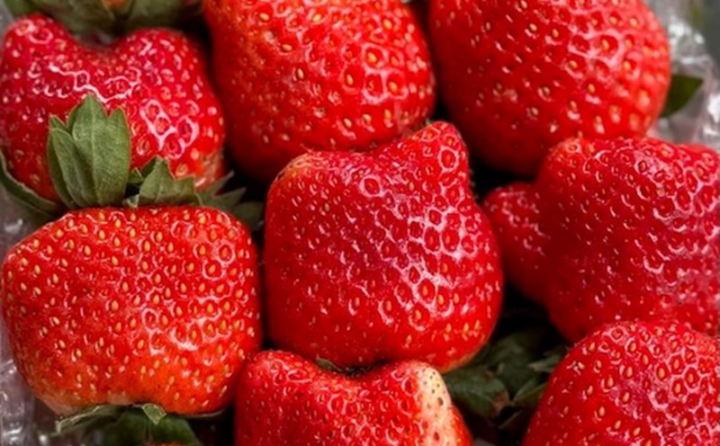 Strawberries are one of the berries that can help detoxify the kidneys. Photo: Kieu Vu