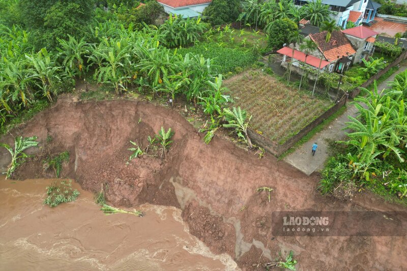 The landslide on the Red River bank through Tam Nong commune, Phu Tho province has approached the residential area. Photo: To Cong.