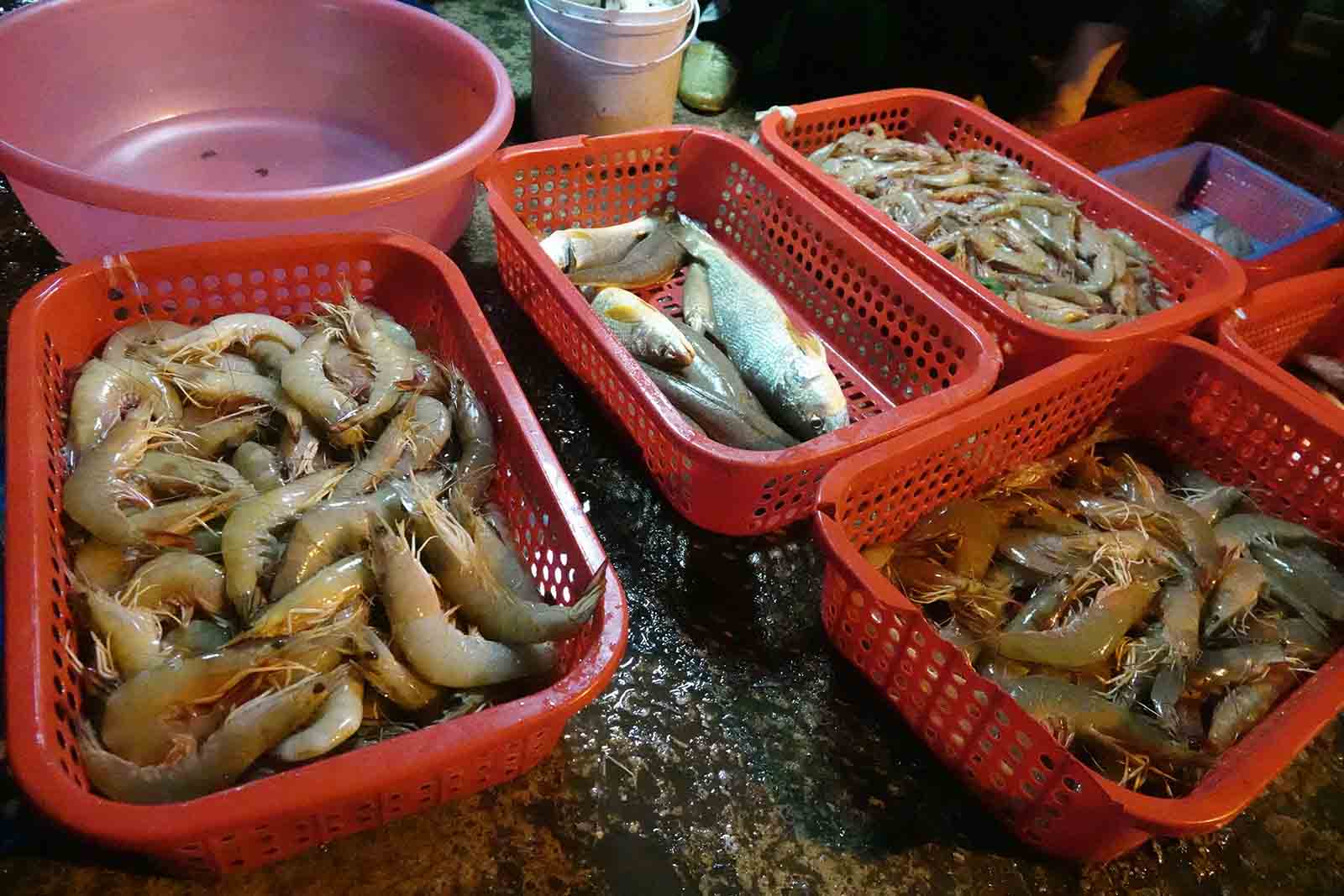 Tom bien. Anh: Tran Tuan.