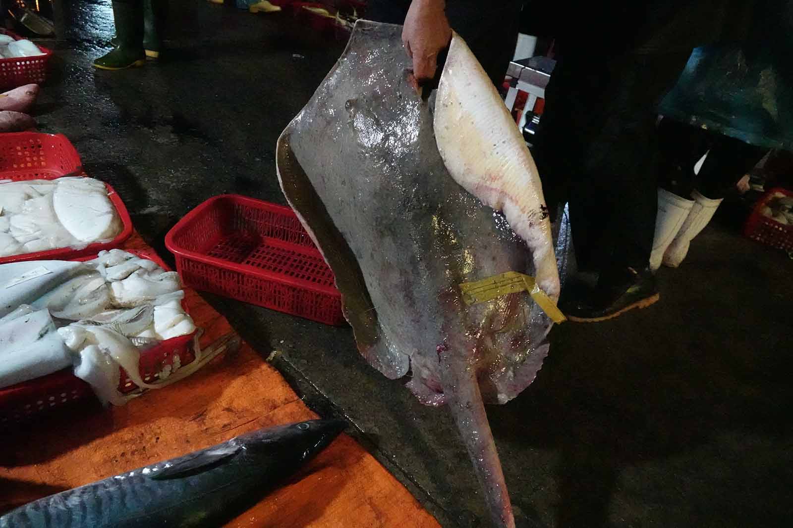 Mot nguoi mua con ca duoi nang gan 10kg. Anh: Tran Tuan.