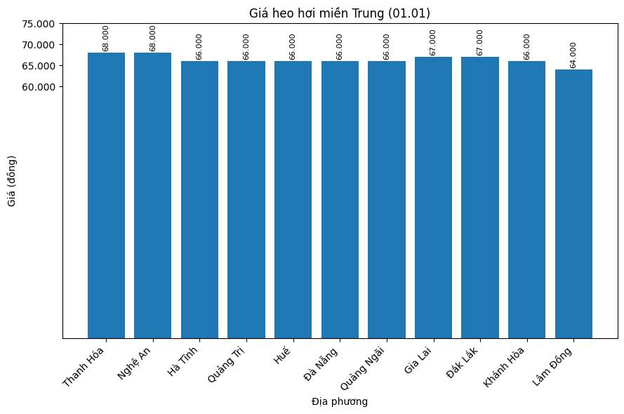 Gia heo hoi hom nay 1.1 tai khu vuc mien Trung. Do hoa: Thuy Linh