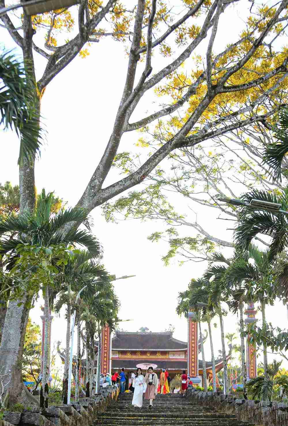 Nhieu nguoi dan, du khach tim den Tu vien Bat Nha ngam phuong vang khoe sac vao sang 1.1.2026. Anh: Phuc Khanh 