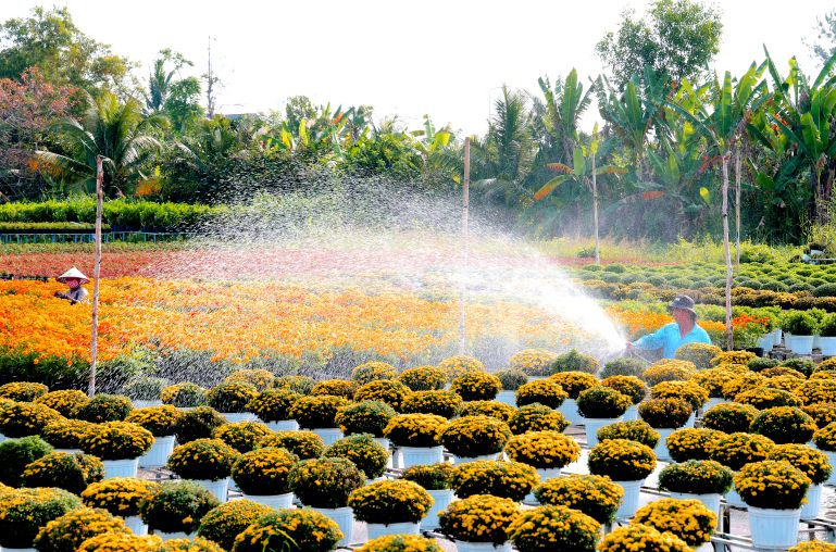 Ben canh viec trung bay nhieu giong hoa ban dia, gan bo lau doi voi lang nghe... Anh: Thanh Mai