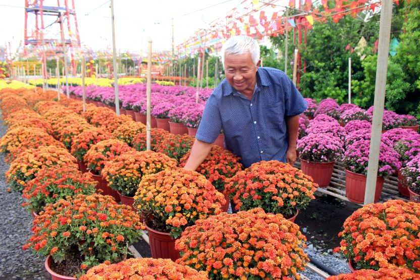 Dip nay, nhieu nha vuon con mang den cho du khach nhung trai nghiem moi la voi nhieu giong hoa nhap tu Han Quoc, Ha Lan... Tat ca nhu net cham pha cho buc tranh lang hoa Sa Dec da dep, cang them dep. Anh: Thanh Mai