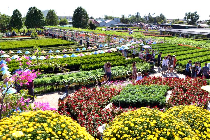 Many flower and ornamental plant garden owners also boldly invest in many miniatures for tourists to visit and check in... Photo: Thanh Mai