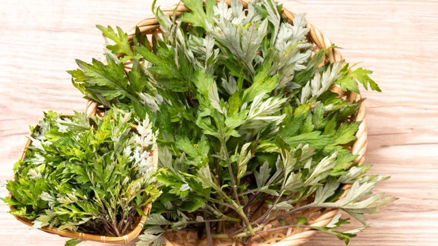 Effective liver detoxification with saffron. Graphic photo: Huong Son