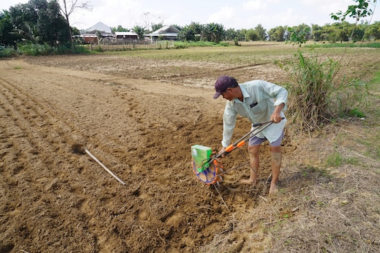 People in Go Noi commune, Da Nang city sow winter-spring crops. Photo: Tran Thi