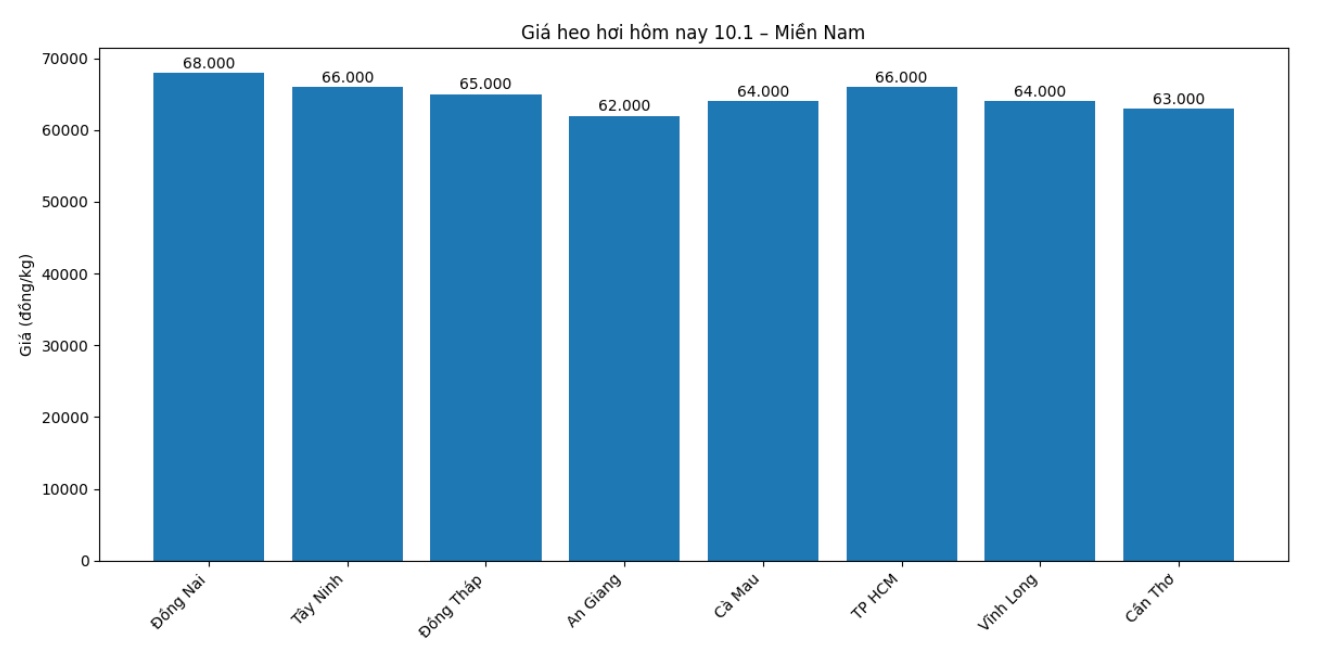 Gia heo hoi hom nay 10.1 tai khu vuc mien Nam. Do hoa: Phuong Anh