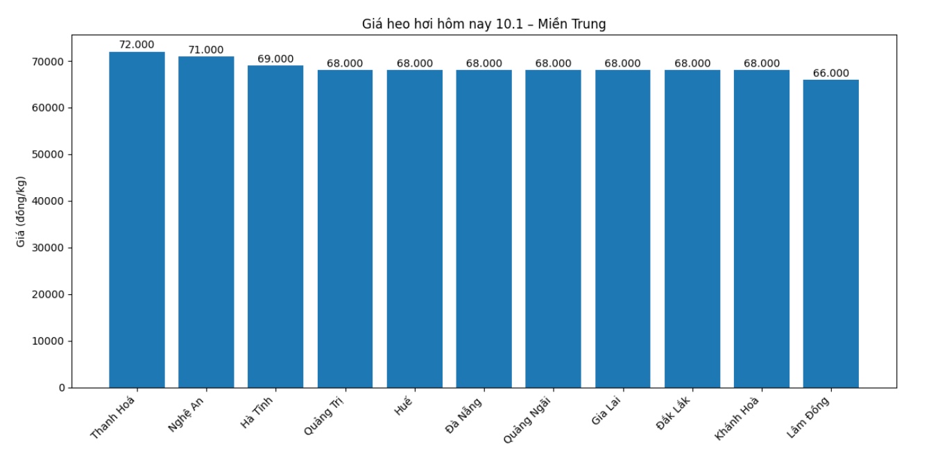 Gia heo hoi hom nay 10.1 tai khu vuc mien Bac. Do hoa: Phuong Anh