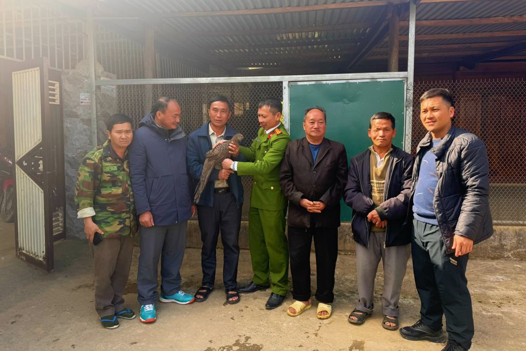 Na Ngoi Commune Police receive gold cash chickens voluntarily handed over by people. Photo: Ngoc Anh