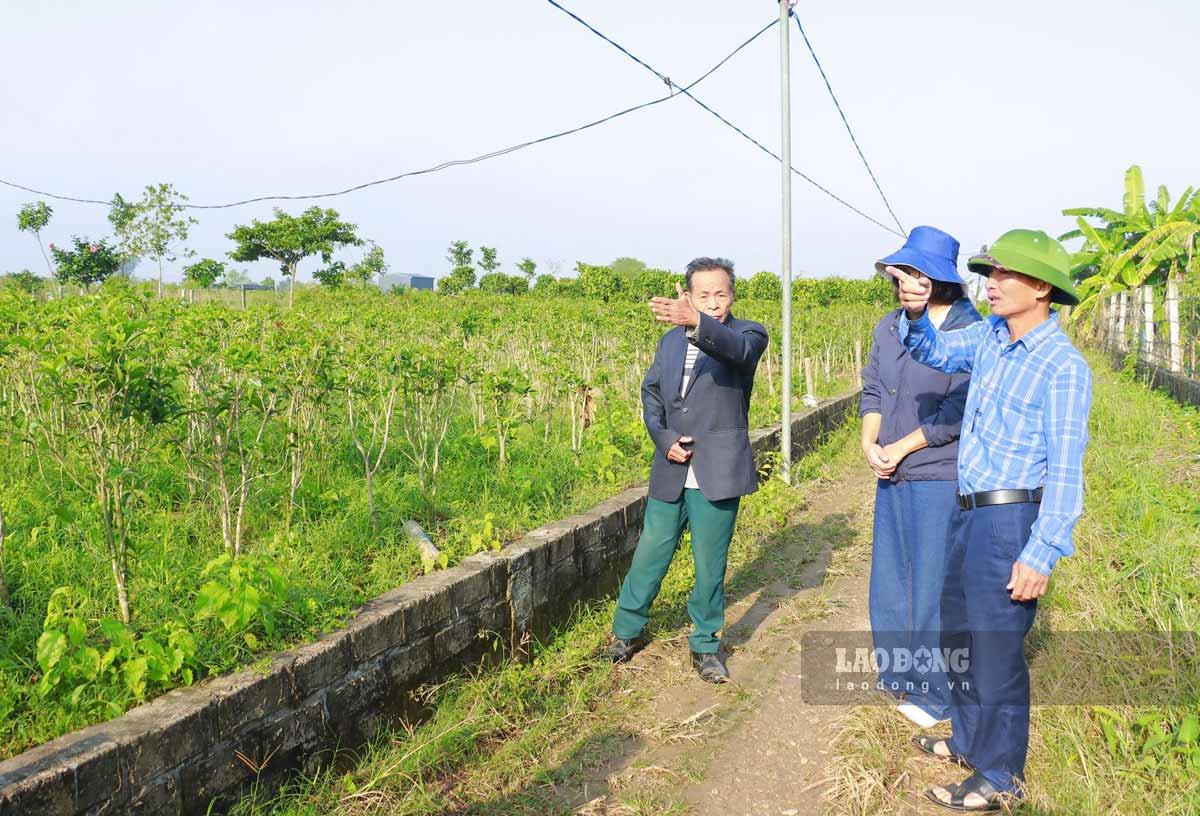 Land clearance garden area in Doai village, Tien Hung commune to construct the road from Thai Binh ward to Hung Ha commune, connecting with Pho Hien ward. Photo: Ha Vi
