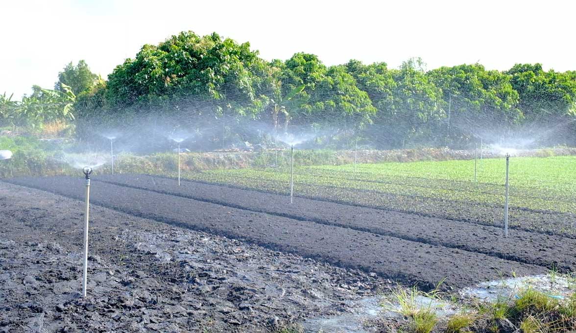 Nganh nong nghiep TP Can Tho khuyen cao nong dan