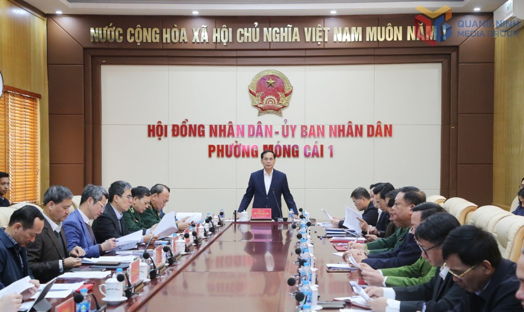 Pho Thu tuong Bui Thanh Son phat bieu chi dao tai buoi lam viec. Anh: Nguyen Thanh