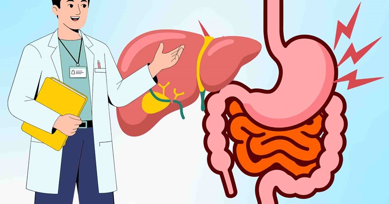 Digestive Warning 3 digestive signs warning of fatty liver