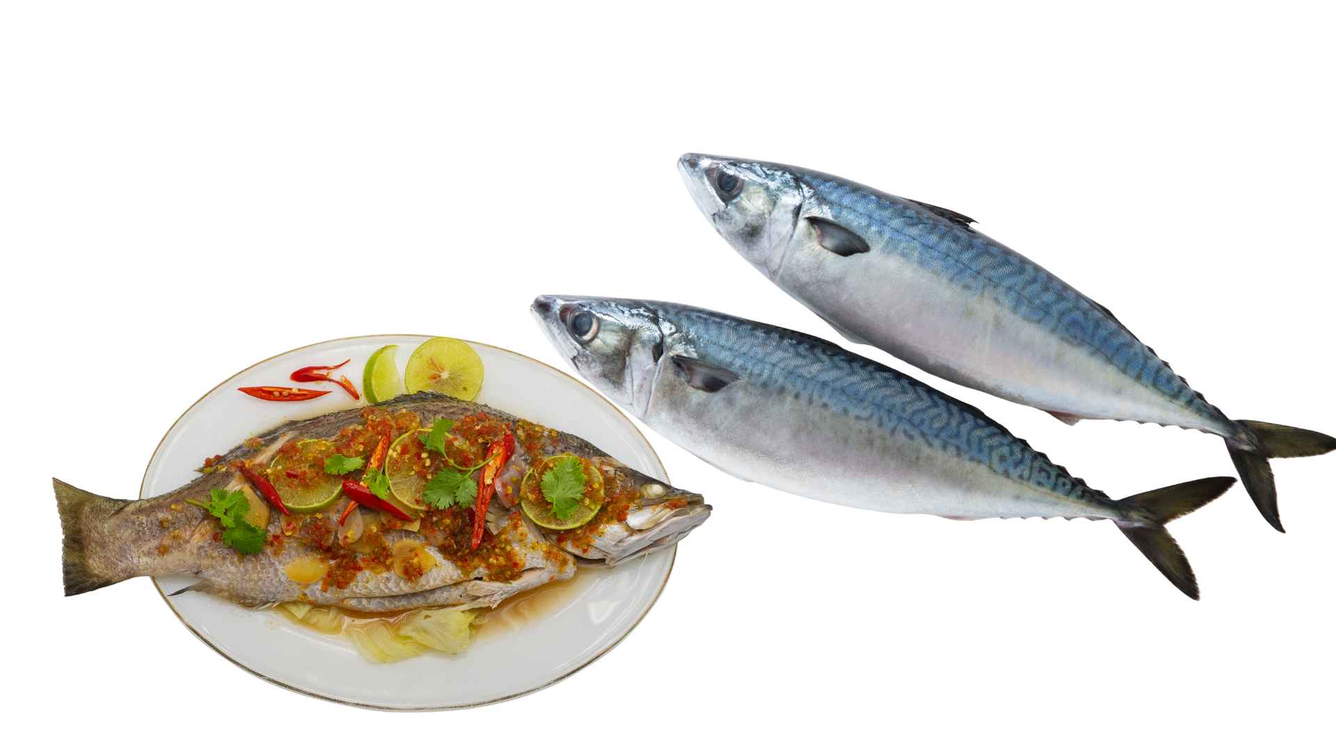 Tuna or basa fish are rich in omega 3 and soft meat with few bones. Graphic photo: Huong Son