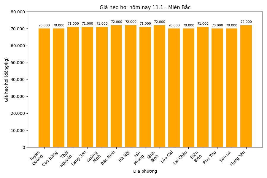 Gia heo hoi hom nay 12.1 tai mien Bac. Do hoa: Thuy Linh.