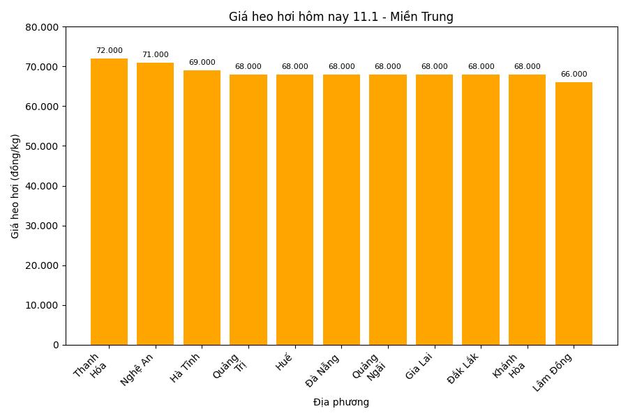Gia heo hoi hom nay 11.1 tai mien Trung. Do hoa: Thuy Linh.