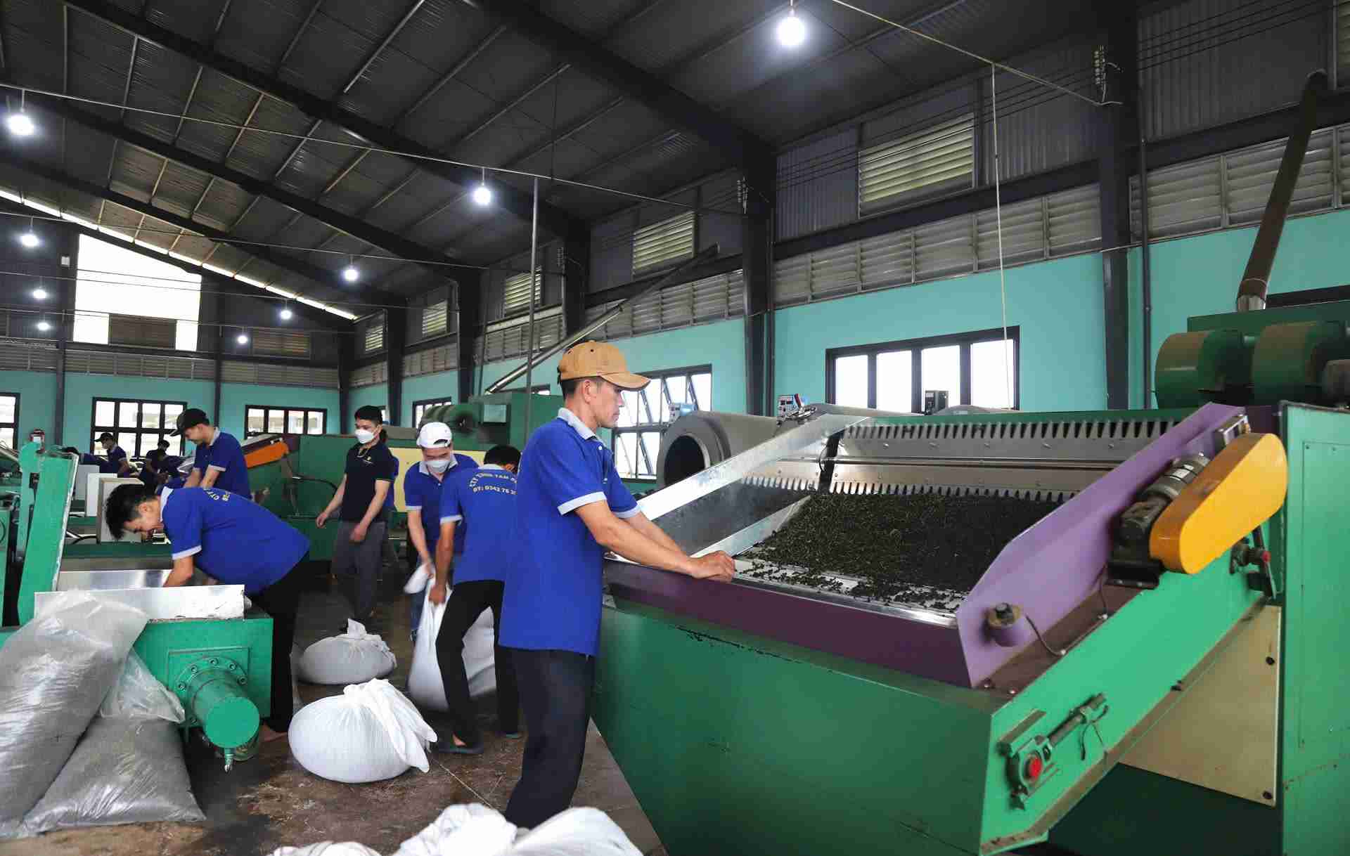 Xuat khau che tren dia ban tinh Lam Dong co nhung buoc tang truong dang chu y. Anh: Phuc Khanh