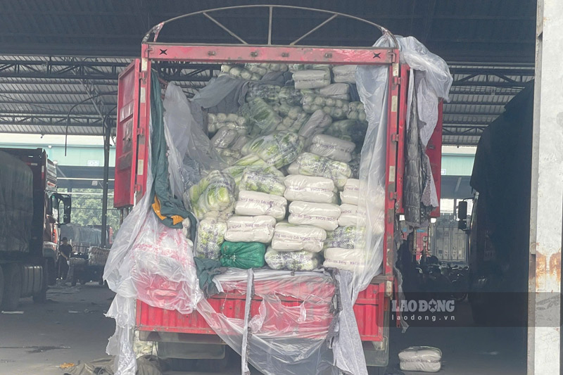 Du cac mat hang rau, cu qua cho cho di cac noi tieu thu. Anh: Dinh Dai 