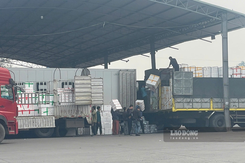 Doi boc vac luon tuc truc moi khi co hang hoa can van chuyen, boc do. Anh: Dinh Dai 