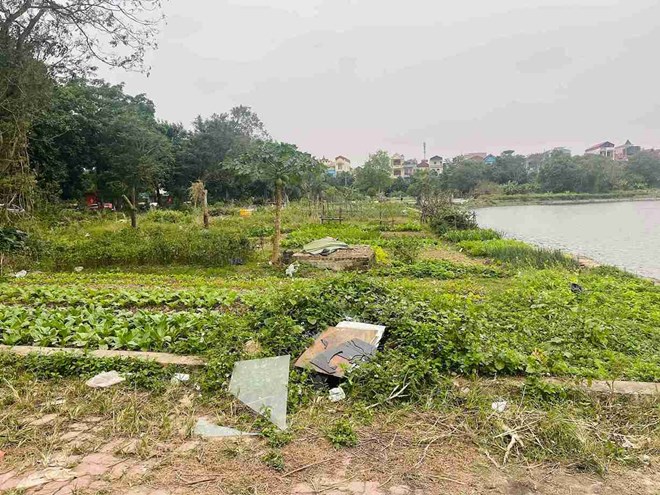 Khu vực hồ An Vũ (Hưng Yên) bị trồng rau, đổ rác