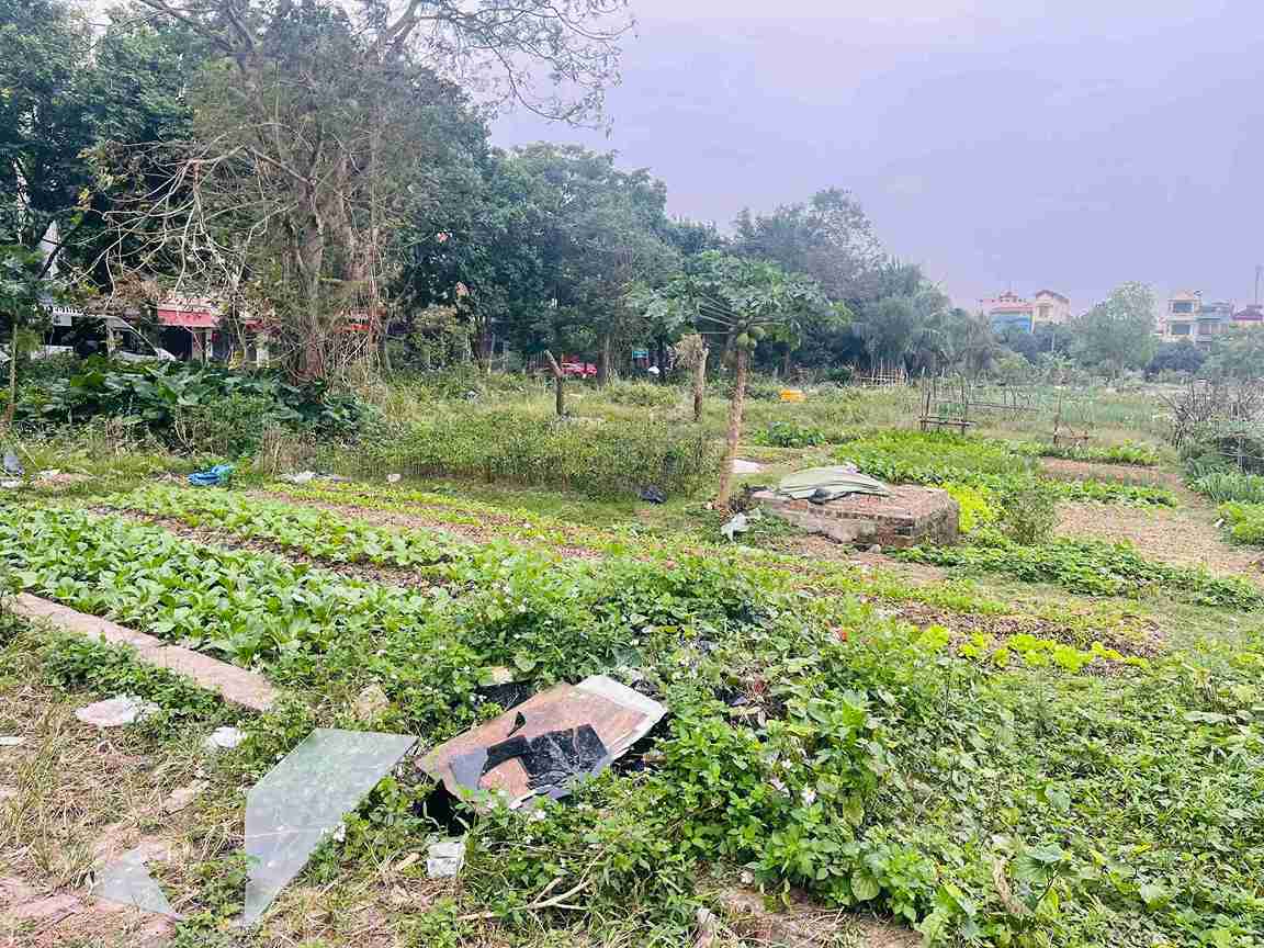 Nhiều khu đất trống quanh hồ An Vũ bị đổ rác sinh hoạt, gây mất mỹ quan.