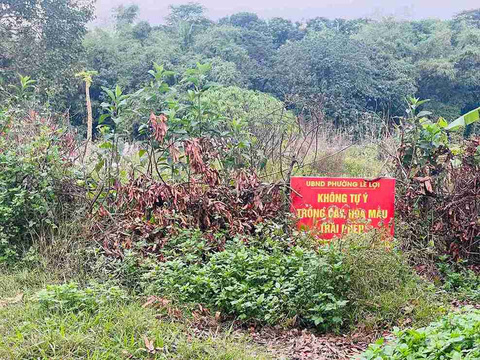 Biển cấm trồng rau quanh hồ An Vũ bị cỏ dại che. Ảnh: Mai Hương