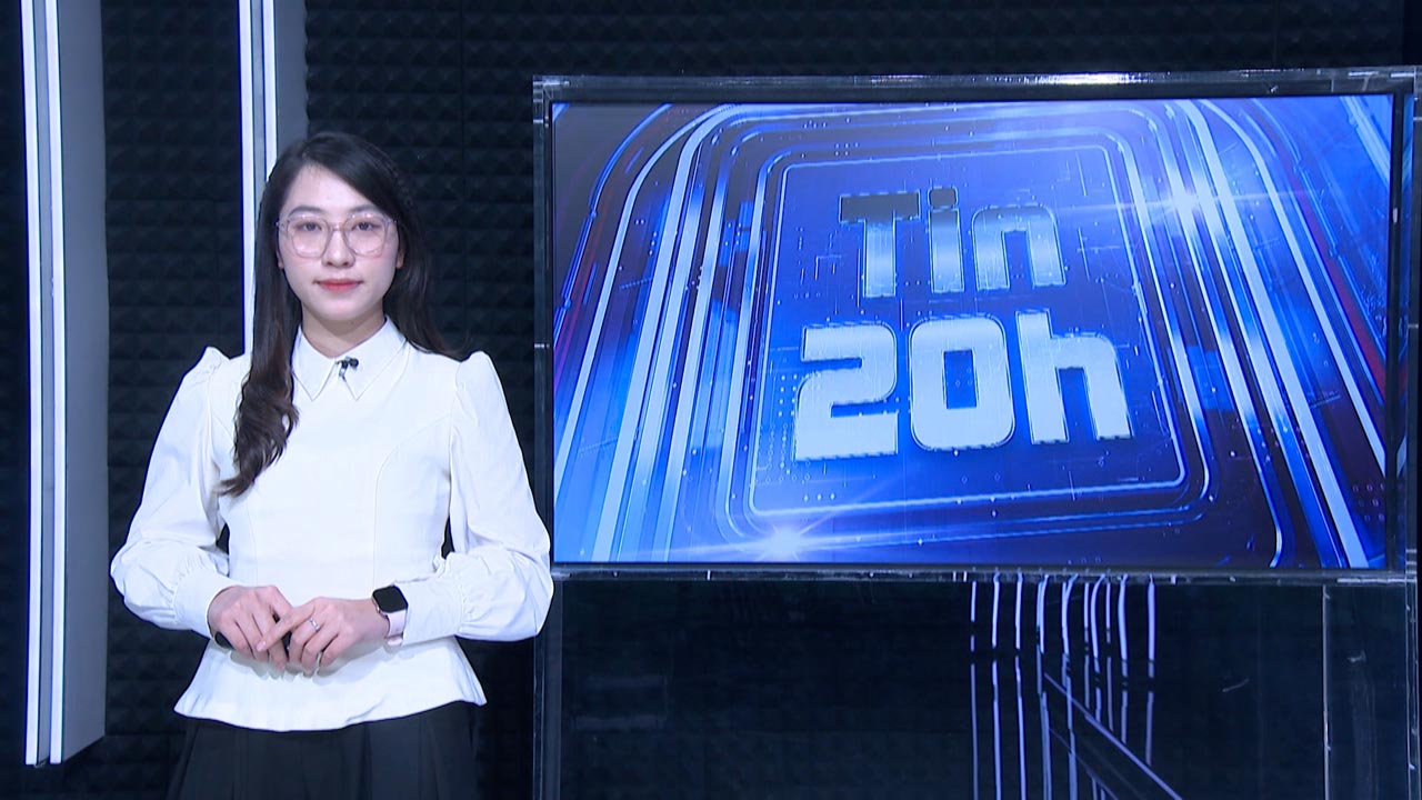 8 PM News: White dolphins suddenly appear on Vietnamese coast