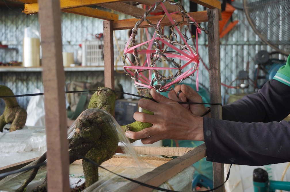 Khau dong hang duoc nhan cong dong can than va ti mi. Anh: Ta Quang