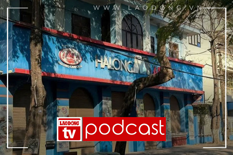 Morning news 12/1: Ha Long Canned Food Factory in Hai Phong temporarily suspends production