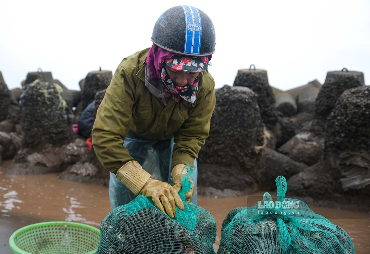 Nguoi dan dai sach vem roi bo bao mang ve. Anh: Ha Vi