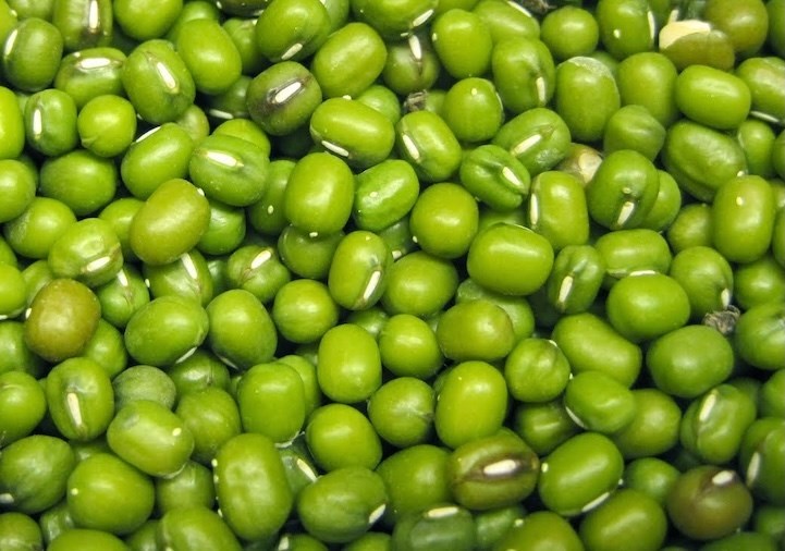 Drinking green bean water regularly helps to lose weight effectively. Photo: Kieu Vu.